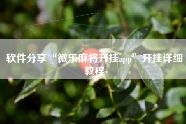 软件分享“微乐麻将开挂app”开挂详细教程