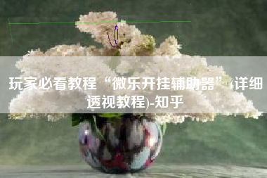 玩家必看教程“微乐开挂辅助器”(详细透视教程)-知乎