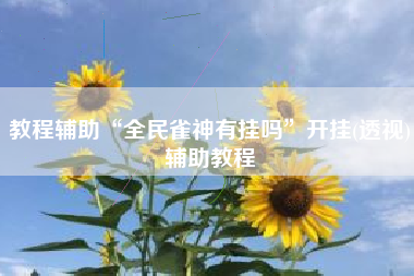 教程辅助“全民雀神有挂吗”开挂(透视)辅助教程