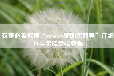 玩家必看教程“wepoker辅助器教程”详细分享装挂步骤教程 玩家必看教程“wepoker辅助器教程”详细分享装挂步骤教程