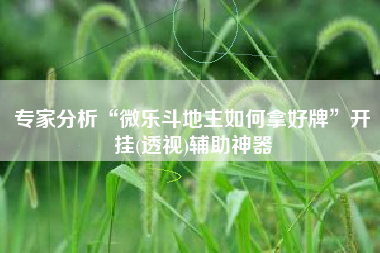 专家分析“微乐斗地主如何拿好牌	”开挂(透视)辅助神器