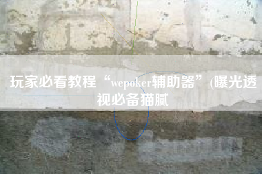玩家必看教程“wepoker辅助器”(曝光透视必备猫腻