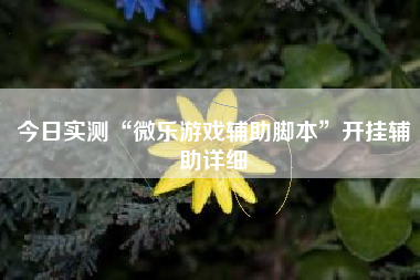 今日实测“微乐游戏辅助脚本	”开挂辅助详细