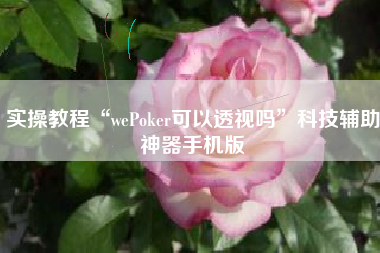 实操教程“wePoker可以透视吗”科技辅助神器手机版