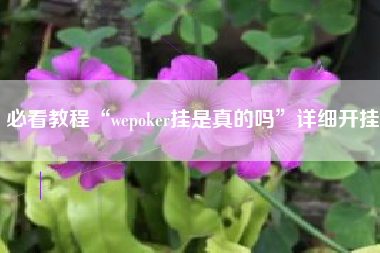 必看教程“wepoker挂是真的吗”详细开挂