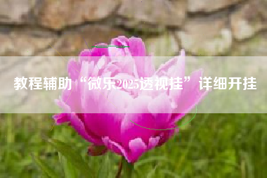 教程辅助“微乐2025透视挂	”详细开挂