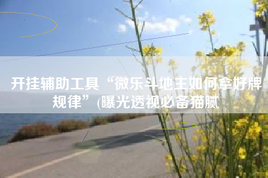 开挂辅助工具“微乐斗地主如何拿好牌规律”(曝光透视必备猫腻