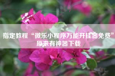 指定教程“微乐小程序万能开挂器免费”原来有神器下载