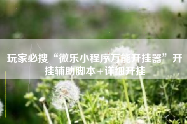 玩家必搜“微乐小程序万能开挂器”开挂辅助脚本+详细开挂