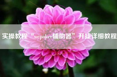 实操教程“wepoker辅助器”开挂详细教程