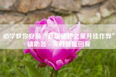 必学教你安装“新版德扑之星开挂作弊	”辅助器 - 实时智能回复