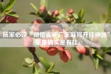 玩家必读“微信雀神广东麻将开挂神器”(原来确实是有挂)