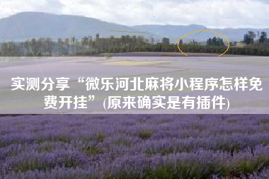 实测分享“微乐河北麻将小程序怎样免费开挂	”(原来确实是有插件)