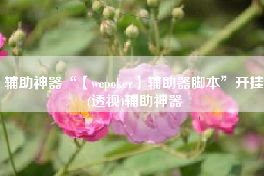 辅助神器“【wepoker】辅助器脚本”开挂(透视)辅助神器