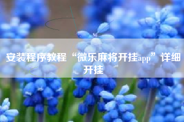 安装程序教程“微乐麻将开挂app”详细开挂