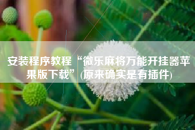 安装程序教程“微乐麻将万能开挂器苹果版下载	”(原来确实是有插件)