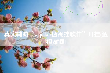 真实辅助“wepoker透视挂软件	”开挂(透视)辅助