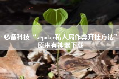 必备科技“wepoker私人局作弊开挂方法	”原来有神器下载