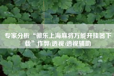 专家分析“微乐上海麻将万能开挂器下载”作弊(透视)透视辅助