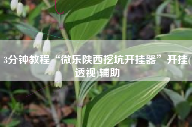 3分钟教程“微乐陕西挖坑开挂器	”开挂(透视)辅助