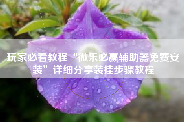 玩家必看教程“微乐必赢辅助器免费安装	”详细分享装挂步骤教程