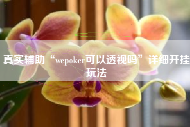 真实辅助“wepoker可以透视吗	”详细开挂玩法
