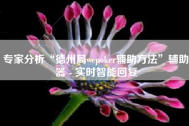 专家分析“德州局wepoker辅助方法”辅助器 - 实时智能回复
