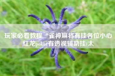玩家必看教程“雀神麻将有挂各位小心红龙poker有透视辅助挂(太
