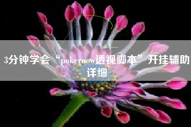 3分钟学会“pokernow透视脚本	”开挂辅助详细