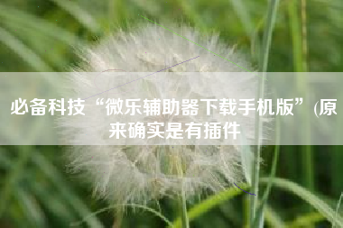 必备科技“微乐辅助器下载手机版”(原来确实是有插件