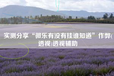 实测分享“微乐有没有挂谁知道”作弊(透视)透视辅助