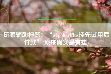 玩家辅助神器：“wepokerPlus挂先试用后付款	”(原来确实是有挂)
