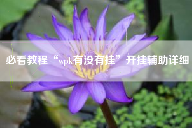 必看教程“wpk有没有挂”开挂辅助详细