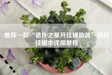 推荐一款“德扑之星开挂辅助器”附开挂脚本详细教程