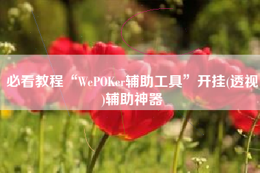 必看教程“WePOKer辅助工具”开挂(透视)辅助神器 必看教程“WePOKer辅助工具”开挂(透视)辅助神器