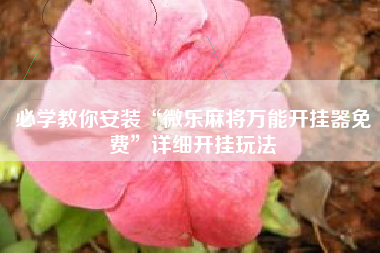 必学教你安装“微乐麻将万能开挂器免费”详细开挂玩法