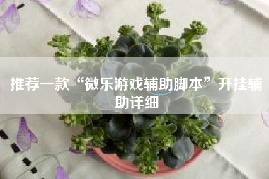 推荐一款“微乐游戏辅助脚本”开挂辅助详细