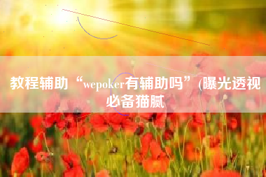 教程辅助“wepoker有辅助吗”(曝光透视必备猫腻
