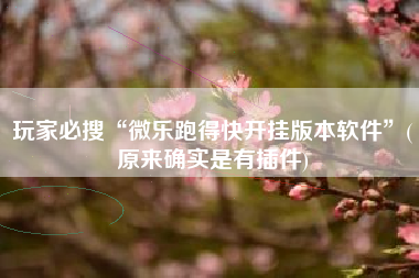 玩家必搜“微乐跑得快开挂版本软件”(原来确实是有插件)