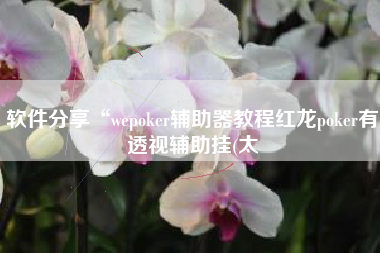 软件分享“wepoker辅助器教程红龙poker有透视辅助挂(太