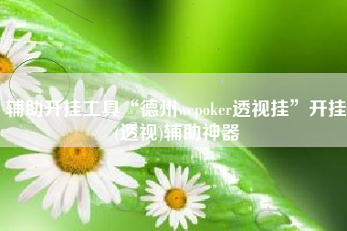 辅助开挂工具“德州wepoker透视挂”开挂(透视)辅助神器
