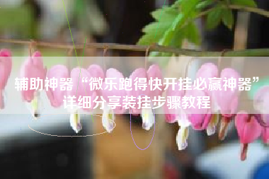 辅助神器“微乐跑得快开挂必赢神器”详细分享装挂步骤教程