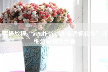 实操教程“WPK作弊辅助挂透视软件	”详细分享装挂步骤