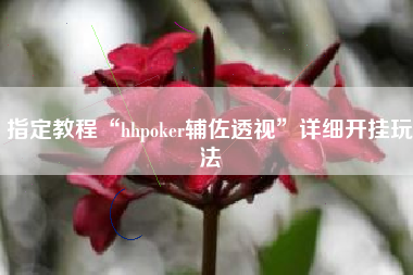 指定教程“hhpoker辅佐透视	”详细开挂玩法