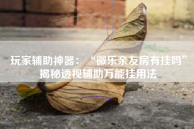 玩家辅助神器：“微乐亲友房有挂吗”揭秘透视辅助万能挂用法