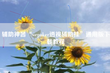 辅助神器“wepoker透视辅助挂”通用版下载教程