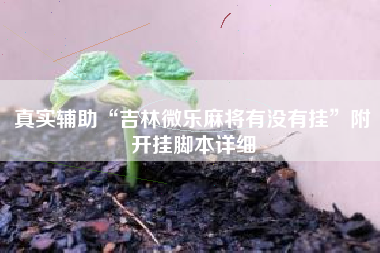 真实辅助“吉林微乐麻将有没有挂	”附开挂脚本详细