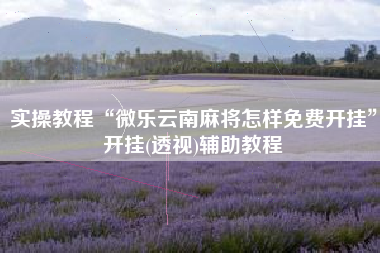 实操教程“微乐云南麻将怎样免费开挂	”开挂(透视)辅助教程