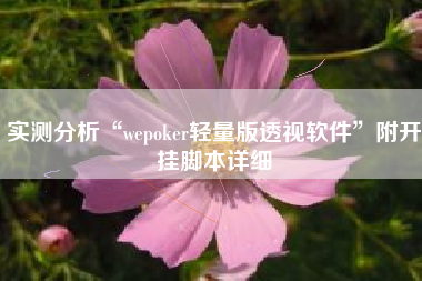 实测分析“wepoker轻量版透视软件”附开挂脚本详细
