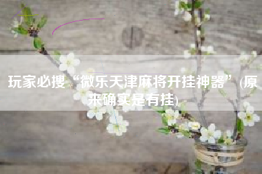 玩家必搜“微乐天津麻将开挂神器”(原来确实是有挂)